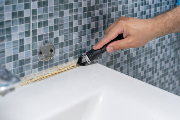 Best Mold Testing  in Wacousta, MI