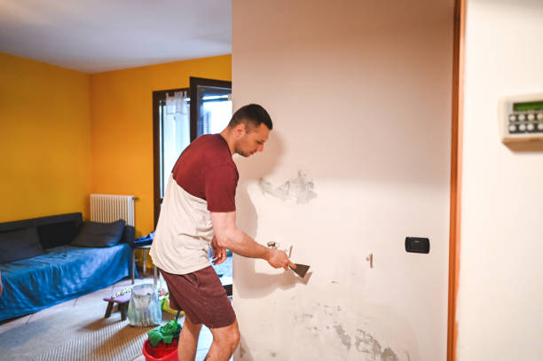 Professional Mold Removal in Wacousta, MI